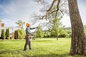  Keys, OK Tree Removal Pros